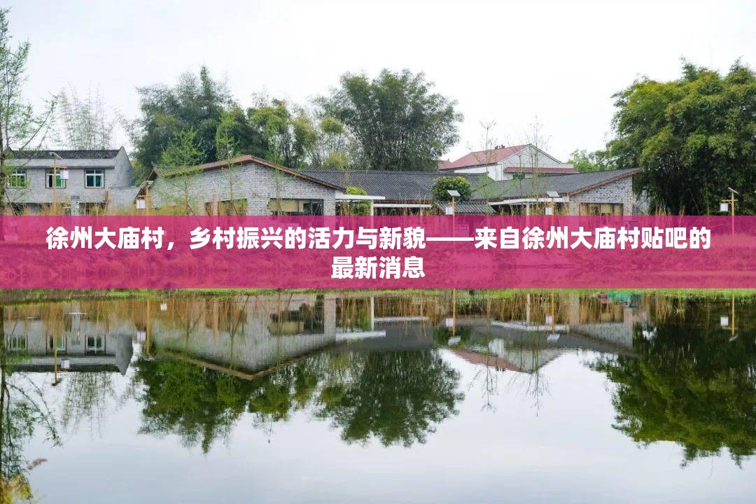 徐州大廟村，鄉(xiāng)村振興的活力與新貌——來自徐州大廟村貼吧的最新消息