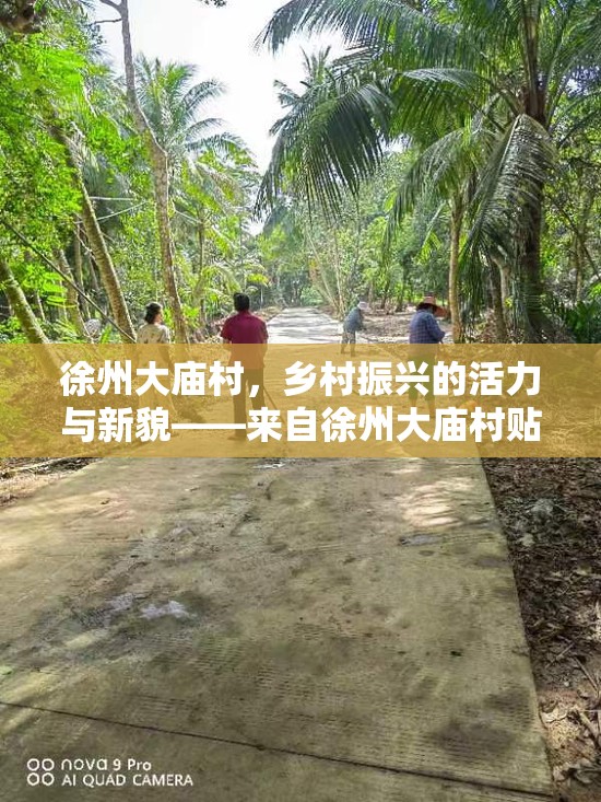 徐州大廟村，鄉(xiāng)村振興的活力與新貌——來自徐州大廟村貼吧的最新消息