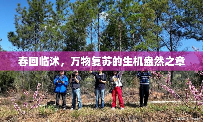 春回臨沭，萬物復(fù)蘇的生機(jī)盎然之章