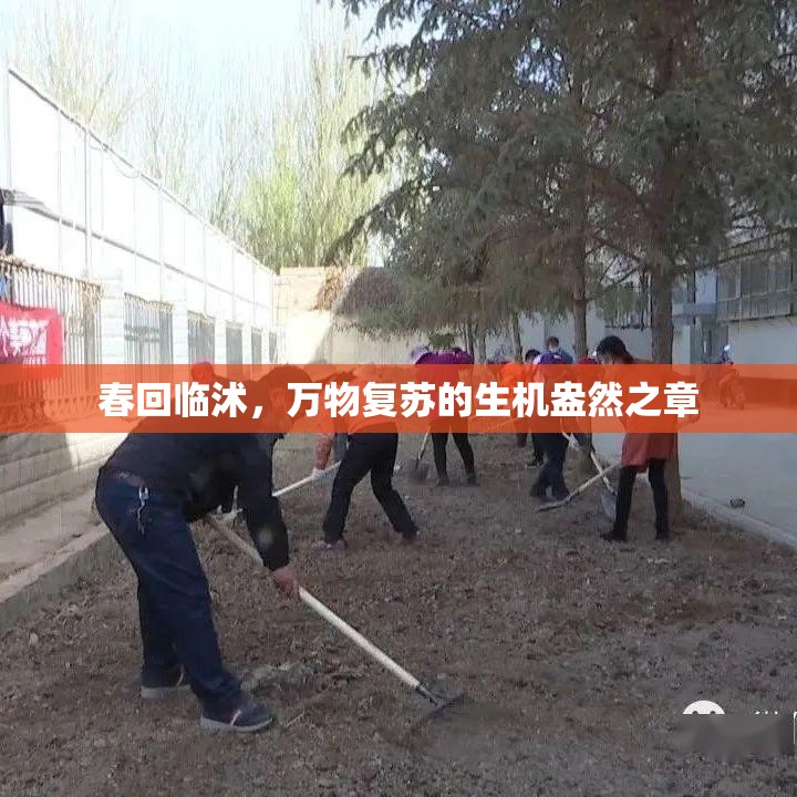 春回臨沭，萬物復(fù)蘇的生機(jī)盎然之章