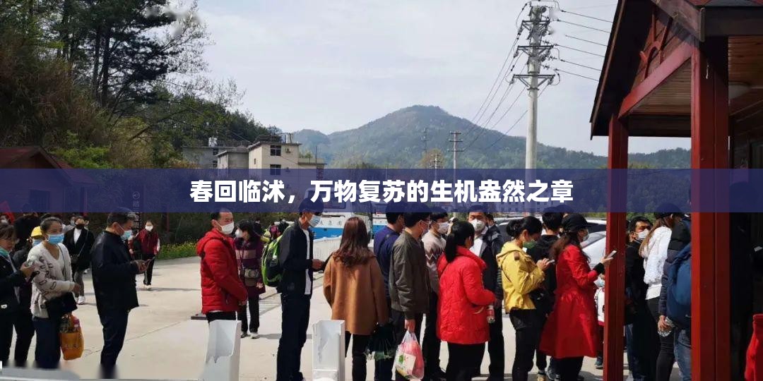 春回臨沭，萬物復(fù)蘇的生機(jī)盎然之章