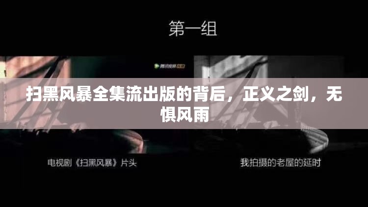掃黑風(fēng)暴全集流出版的背后，正義之劍，無懼風(fēng)雨