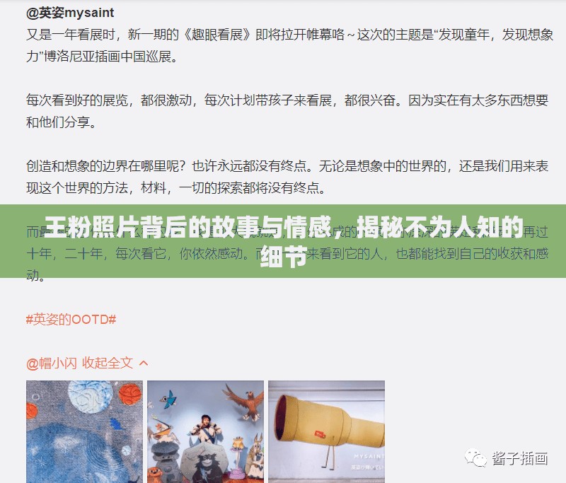 王粉照片背后的故事與情感，揭秘不為人知的細(xì)節(jié)