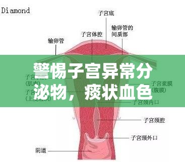 警惕子宮異常分泌物，痰狀血色背后的健康警報(bào)