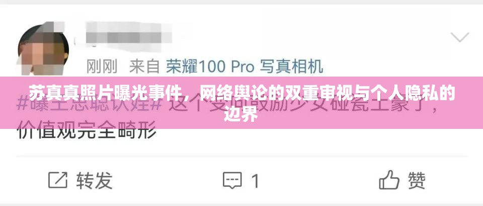 蘇真真照片曝光事件，網(wǎng)絡(luò)輿論的雙重審視與個(gè)人隱私的邊界