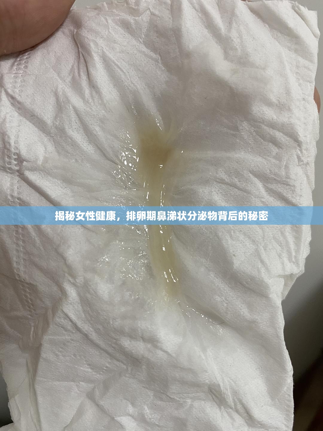 揭秘女性健康，排卵期鼻涕狀分泌物背后的秘密