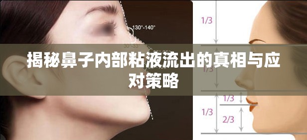 揭秘鼻子內(nèi)部粘液流出的真相與應(yīng)對策略