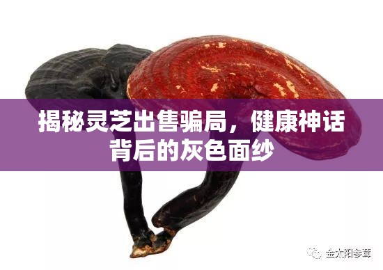 揭秘靈芝出售騙局，健康神話背后的灰色面紗