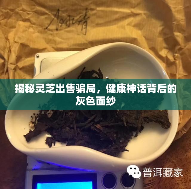 揭秘靈芝出售騙局，健康神話背后的灰色面紗