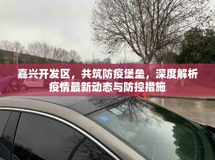 嘉興開發(fā)區(qū)，共筑防疫堡壘，深度解析疫情最新動態(tài)與防控措施