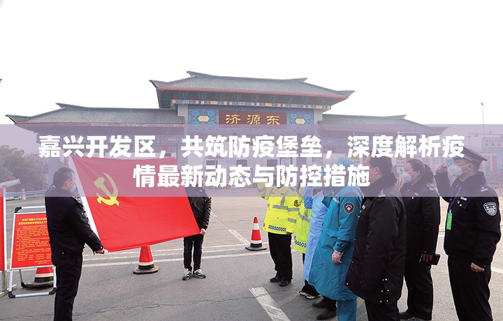 嘉興開發(fā)區(qū)，共筑防疫堡壘，深度解析疫情最新動態(tài)與防控措施