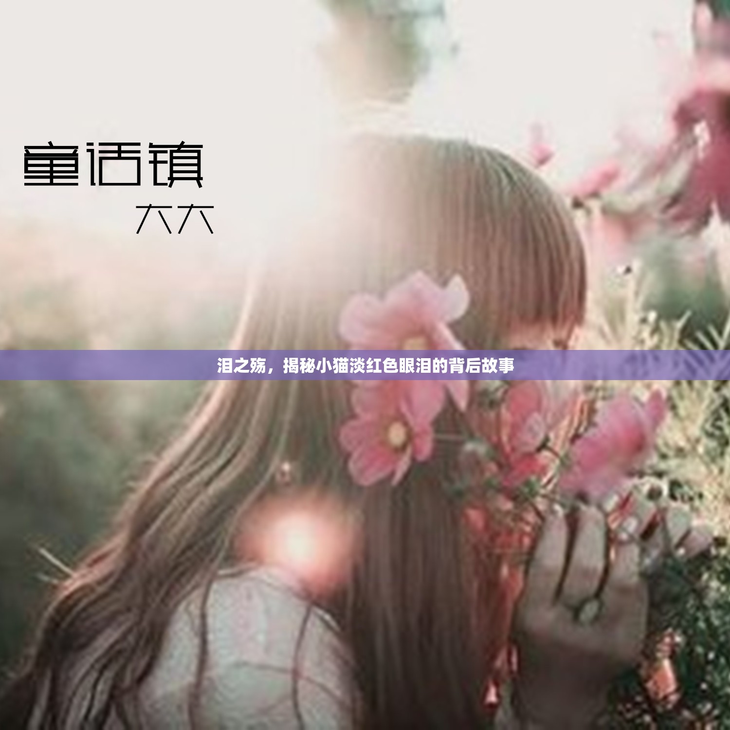 淚之殤，揭秘小貓淡紅色眼淚的背后故事