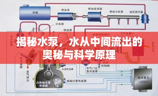 揭秘水泵，水從中間流出的奧秘與科學(xué)原理