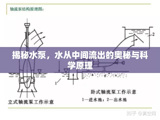 揭秘水泵，水從中間流出的奧秘與科學(xué)原理