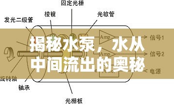 揭秘水泵，水從中間流出的奧秘與科學(xué)原理