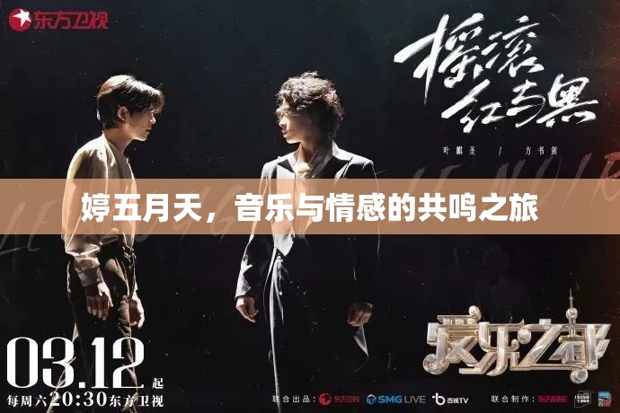 婷五月天，音樂與情感的共鳴之旅