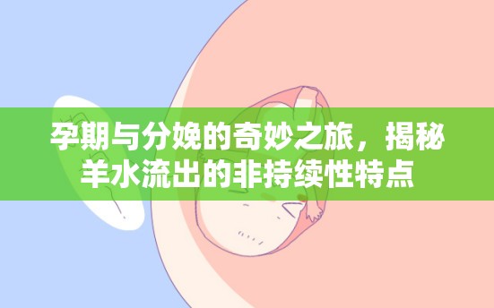 孕期與分娩的奇妙之旅，揭秘羊水流出的非持續(xù)性特點