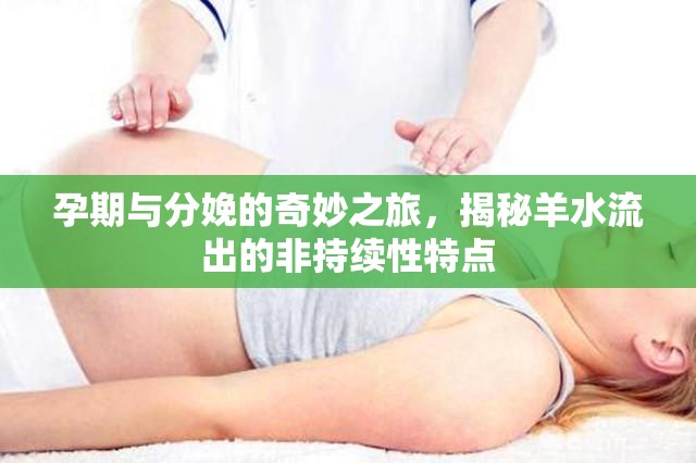 孕期與分娩的奇妙之旅，揭秘羊水流出的非持續(xù)性特點
