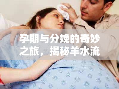 孕期與分娩的奇妙之旅，揭秘羊水流出的非持續(xù)性特點