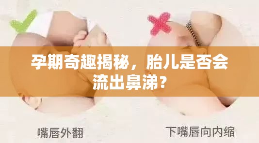孕期奇趣揭秘，胎兒是否會(huì)流出鼻涕？