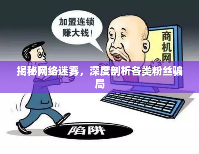 揭秘網(wǎng)絡迷霧，深度剖析各類粉絲騙局