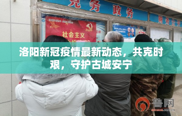 洛陽新冠疫情最新動態(tài)，共克時艱，守護(hù)古城安寧