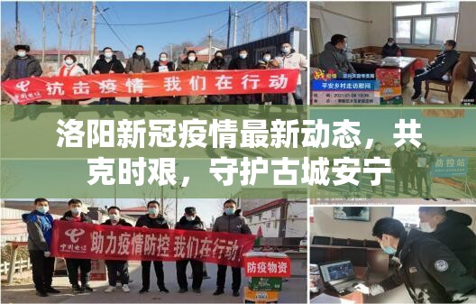 洛陽新冠疫情最新動態(tài)，共克時艱，守護(hù)古城安寧