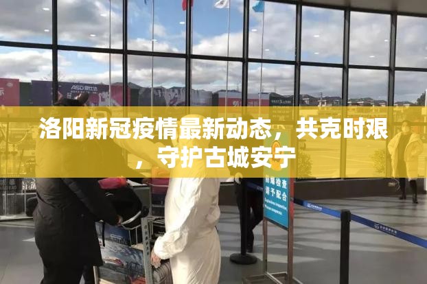 洛陽新冠疫情最新動態(tài)，共克時艱，守護(hù)古城安寧