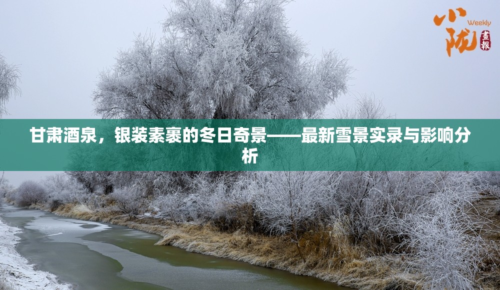 甘肅酒泉，銀裝素裹的冬日奇景——最新雪景實錄與影響分析