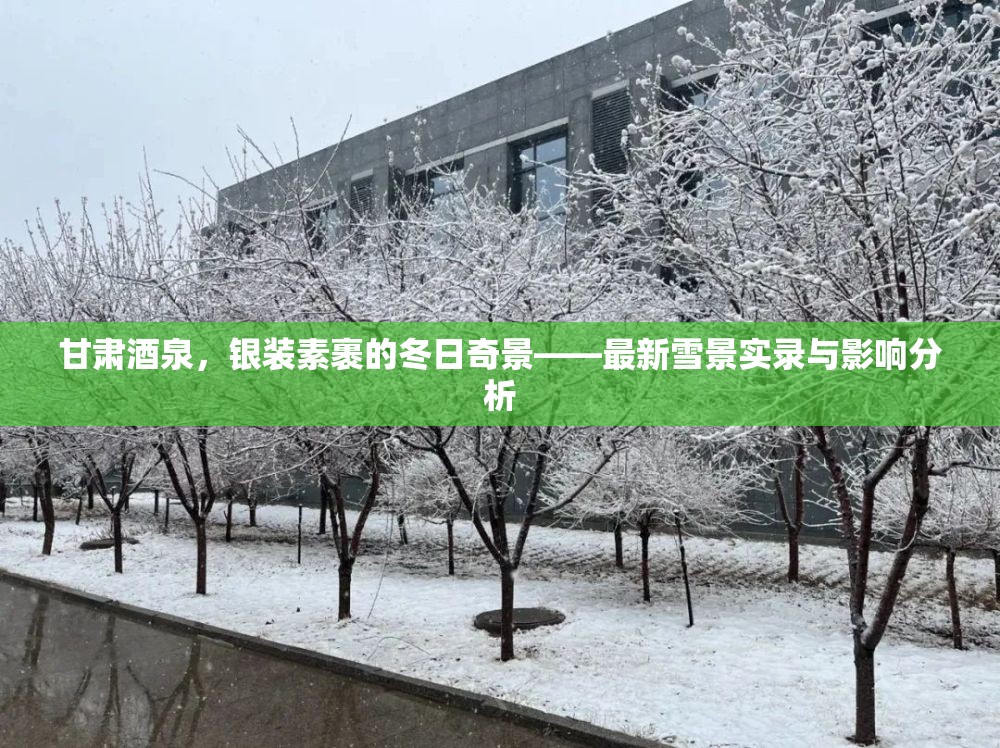 甘肅酒泉，銀裝素裹的冬日奇景——最新雪景實錄與影響分析