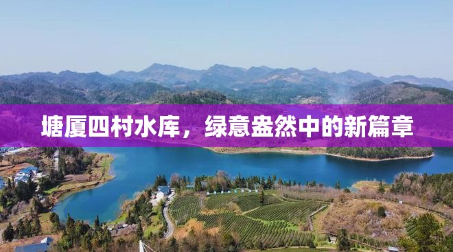 塘廈四村水庫，綠意盎然中的新篇章