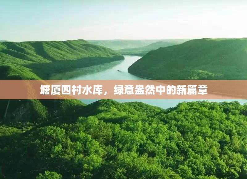 塘廈四村水庫，綠意盎然中的新篇章