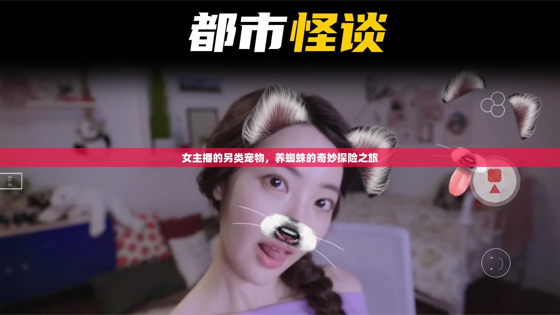 女主播的另類寵物，養(yǎng)蜘蛛的奇妙探險之旅