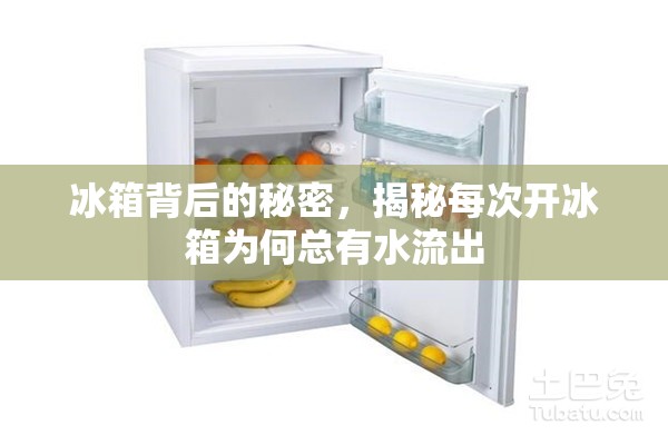 冰箱背后的秘密，揭秘每次開(kāi)冰箱為何總有水流出