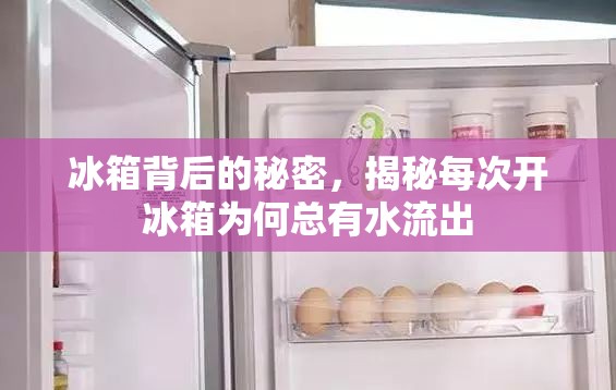 冰箱背后的秘密，揭秘每次開(kāi)冰箱為何總有水流出