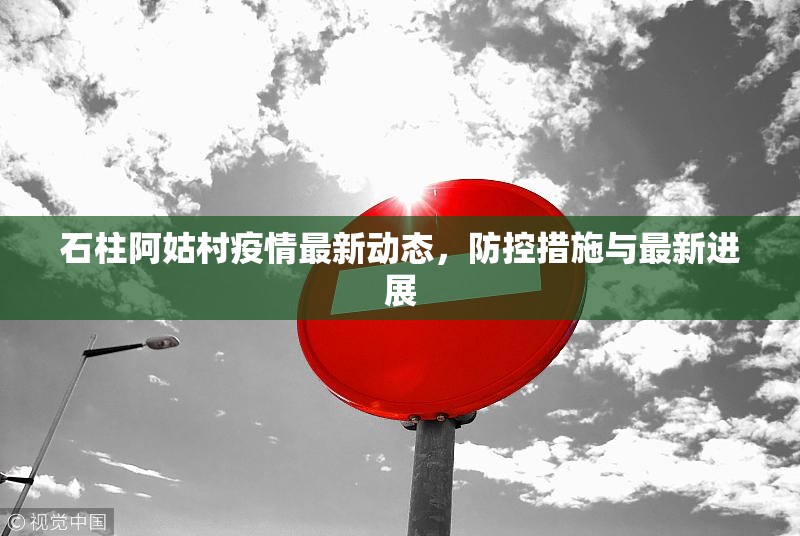 石柱阿姑村疫情最新動態(tài)，防控措施與最新進展