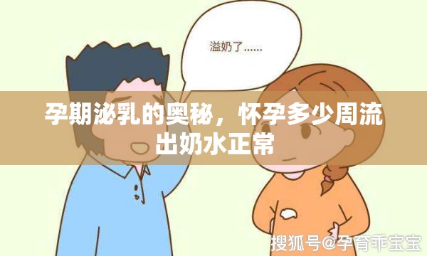 孕期泌乳的奧秘，懷孕多少周流出奶水正常
