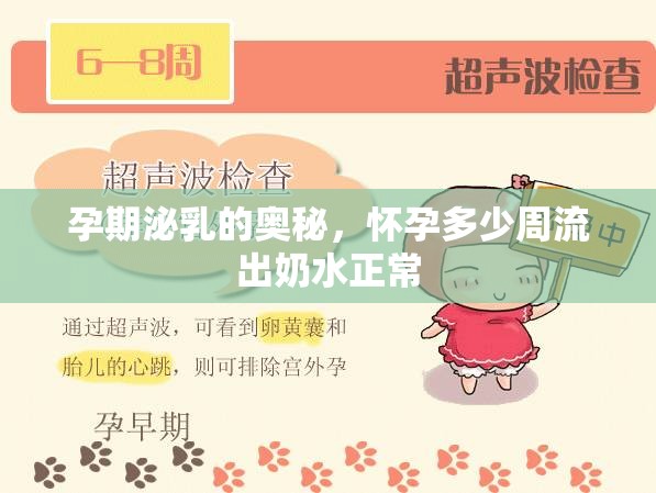 孕期泌乳的奧秘，懷孕多少周流出奶水正常