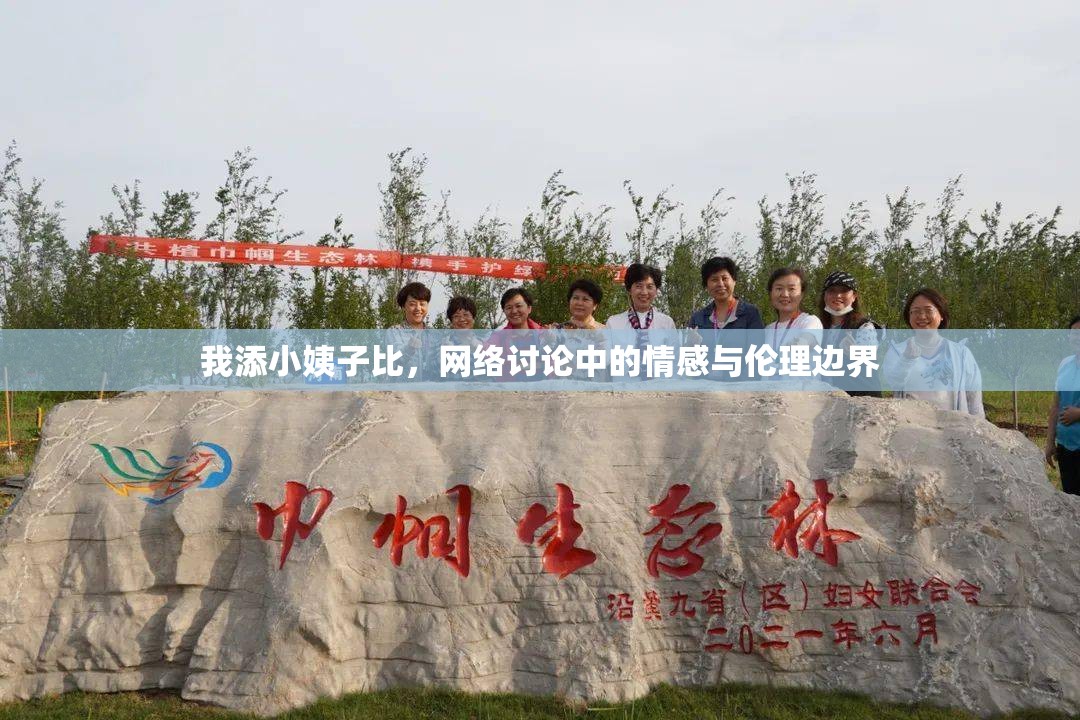 我添小姨子比，網(wǎng)絡(luò)討論中的情感與倫理邊界