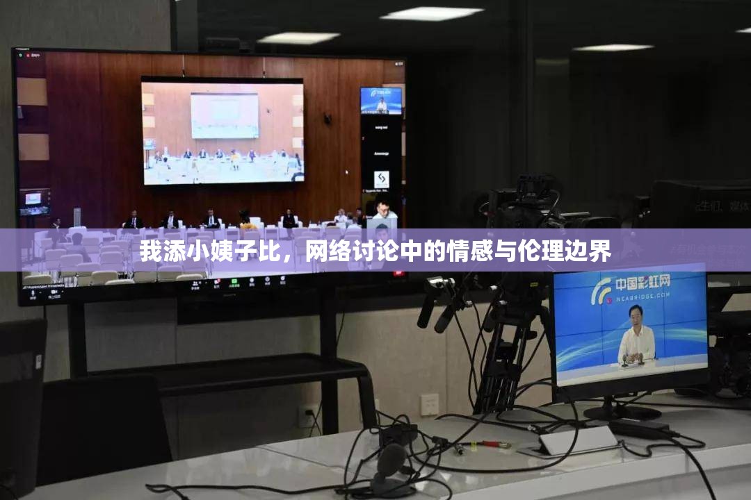 我添小姨子比，網(wǎng)絡(luò)討論中的情感與倫理邊界
