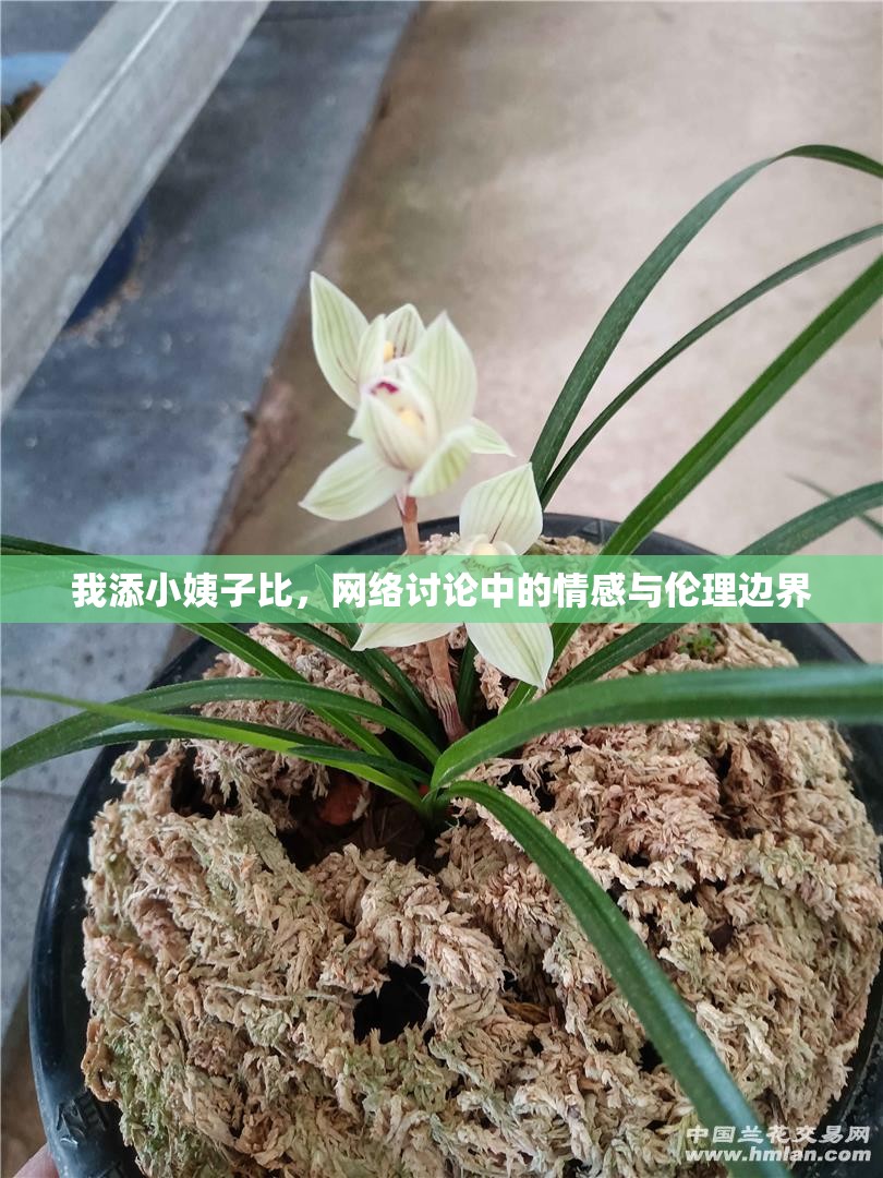 我添小姨子比，網(wǎng)絡(luò)討論中的情感與倫理邊界
