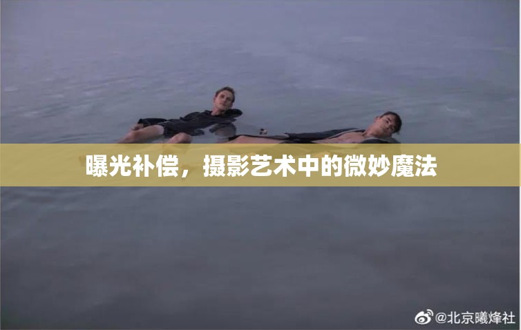 曝光補(bǔ)償，攝影藝術(shù)中的微妙魔法