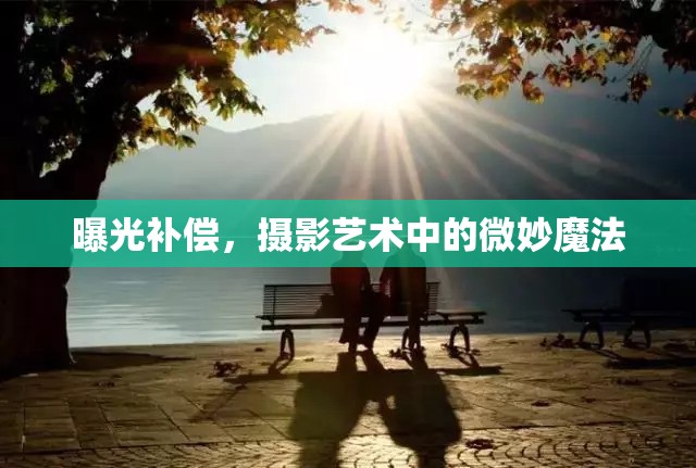 曝光補(bǔ)償，攝影藝術(shù)中的微妙魔法