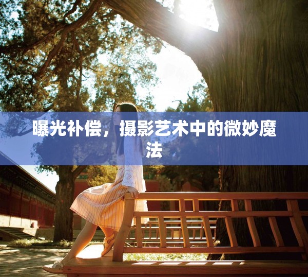 曝光補(bǔ)償，攝影藝術(shù)中的微妙魔法