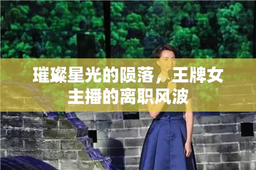 璀璨星光的隕落，王牌女主播的離職風(fēng)波