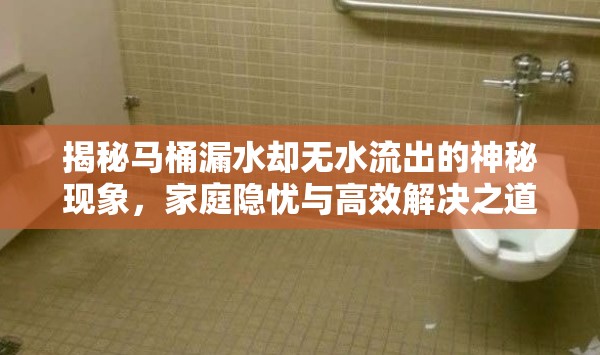 揭秘馬桶漏水卻無(wú)水流出的神秘現(xiàn)象，家庭隱憂(yōu)與高效解決之道