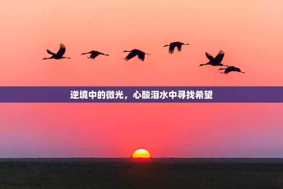 逆境中的微光，心酸淚水中尋找希望