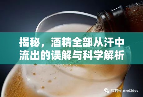 揭秘，酒精全部從汗中流出的誤解與科學解析
