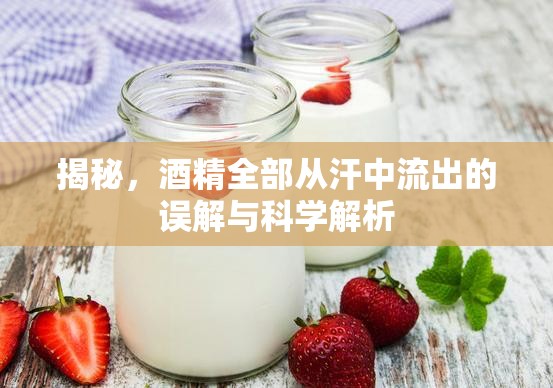 揭秘，酒精全部從汗中流出的誤解與科學解析