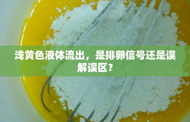淺黃色液體流出，是排卵信號(hào)還是誤解誤區(qū)？